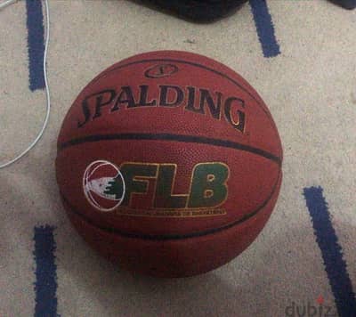 Spalding Basketball TF-1000  FLB Aprroved