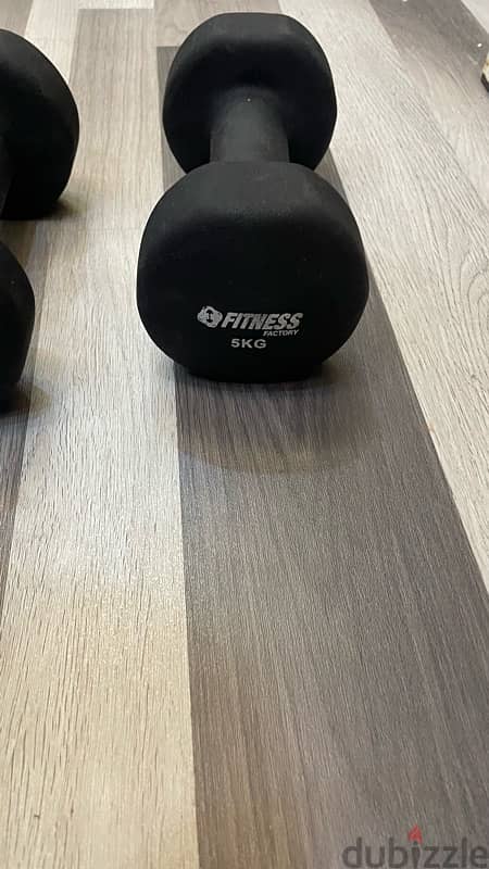 5kg dumbbells 1