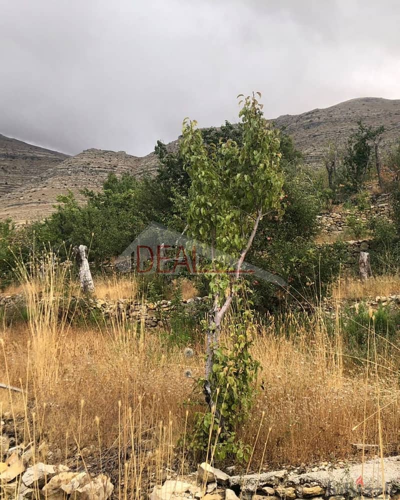 993 SQM Land for sale in Faraya  REF#CC2115 1