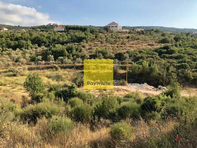 RWB105DL - Land for sale in Chabtine - Batroun