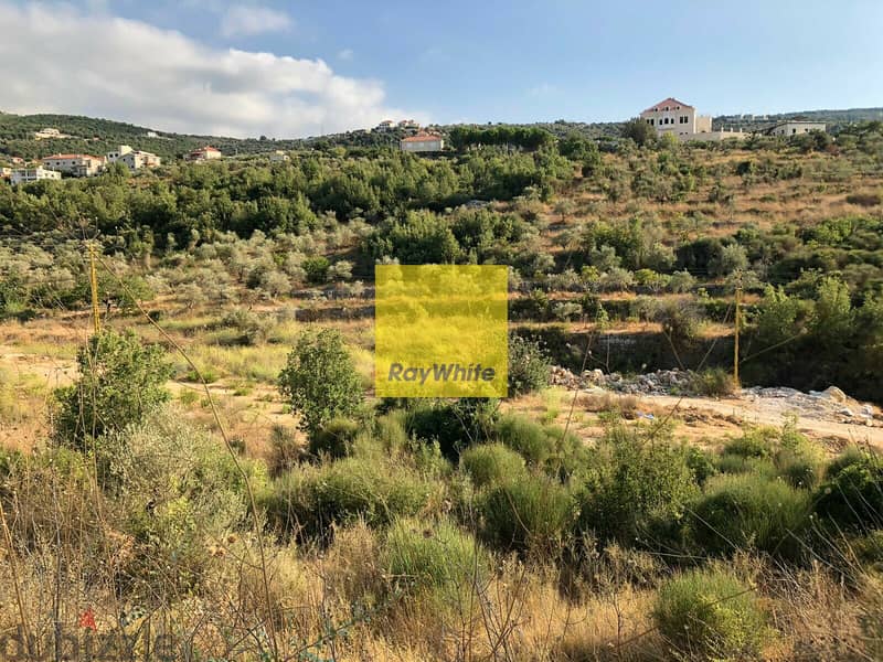 RWB105DL - Land for sale in Chabtine - Batroun 3