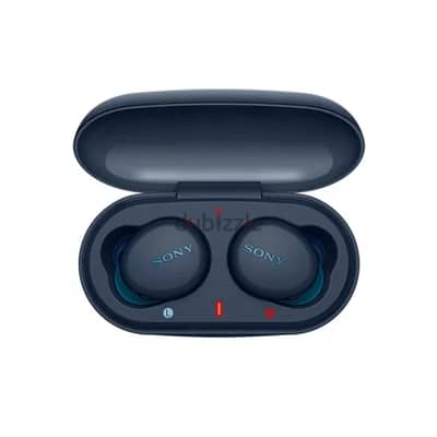 Sony WF-XB700 True Wireless Earbuds (Used-Clean)