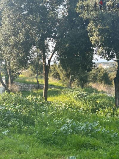 Land for sale in HAMAT-BATROUN / VERY HOT DEAL