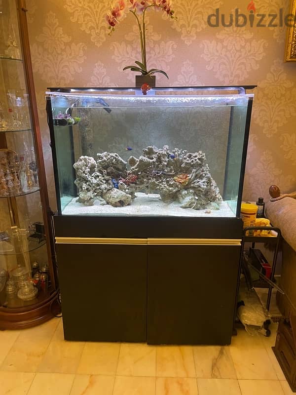 salt water fish tank aquarium 2