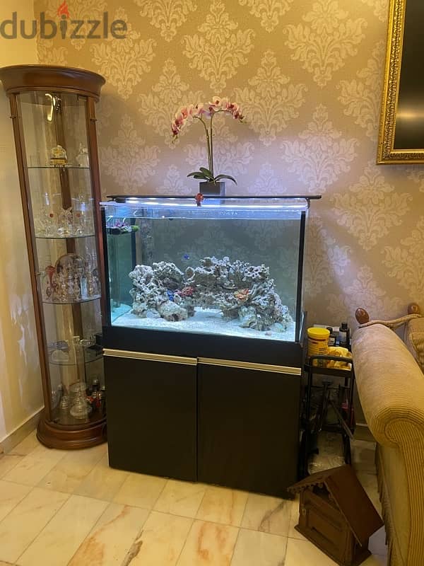 salt water fish tank aquarium 5