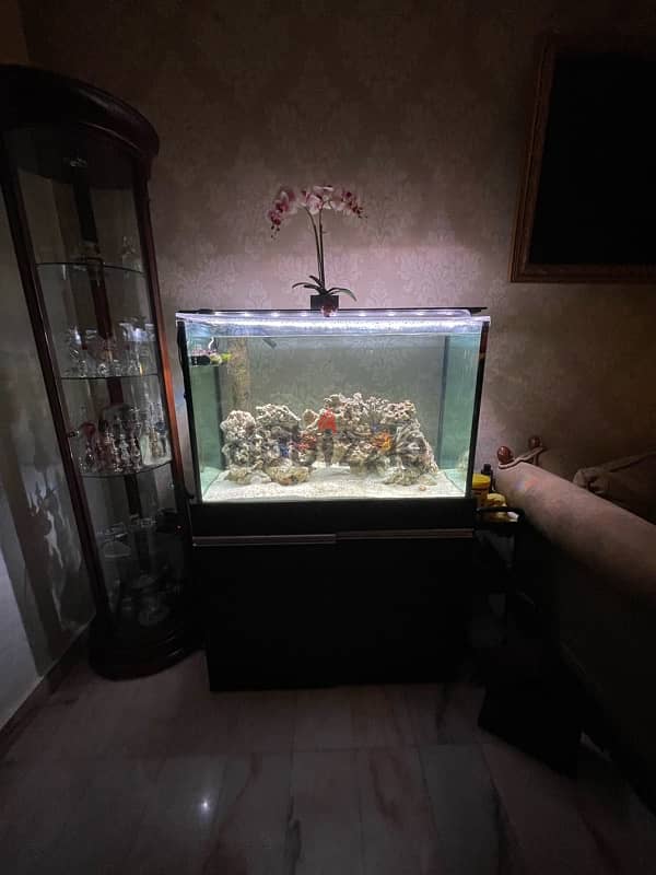 salt water fish tank aquarium 6