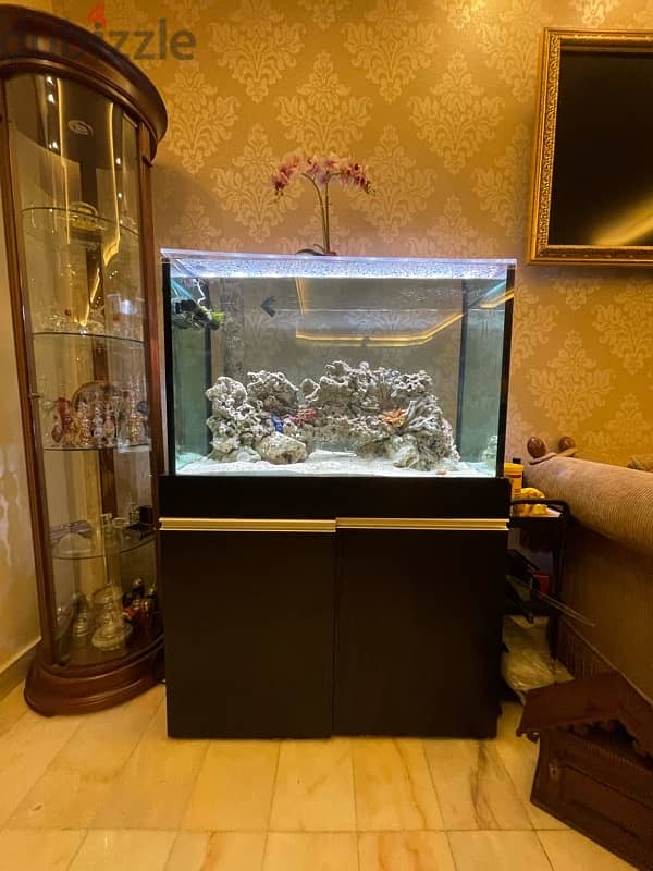 salt water fish tank aquarium 7