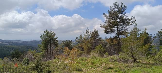 25000 Sqm | Land for sale in Chouf / منطقة مزرعة