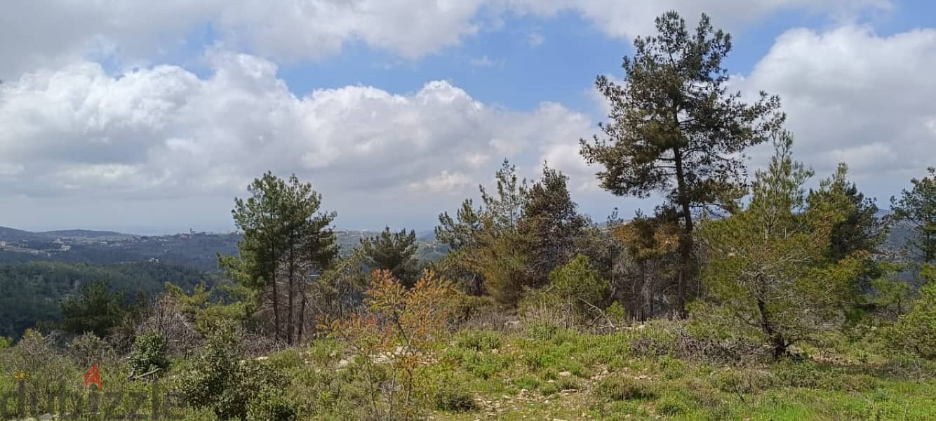 25000 Sqm | Land for sale in Chouf / منطقة مزرعة 0