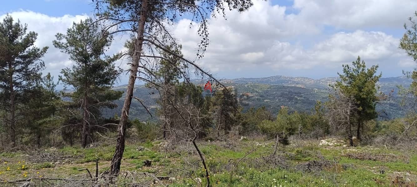 25000 Sqm | Land for sale in Chouf / منطقة مزرعة 1