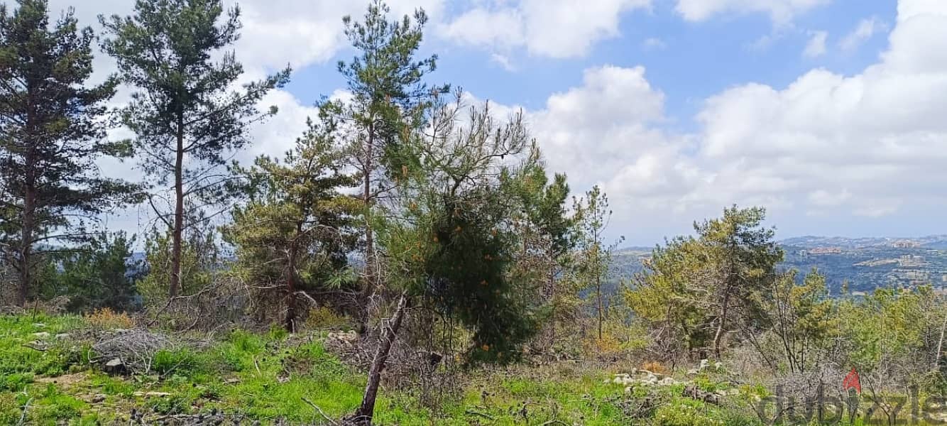 25000 Sqm | Land for sale in Chouf / منطقة مزرعة 3