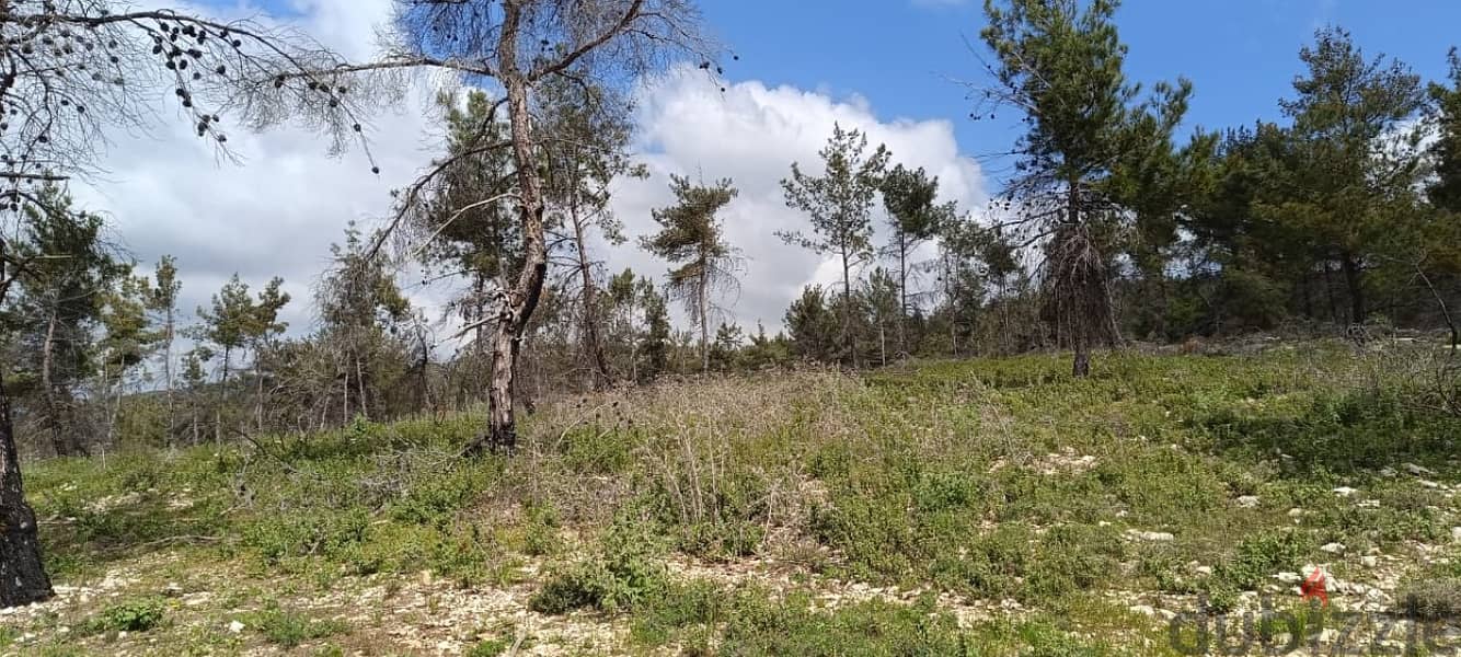 25000 Sqm | Land for sale in Chouf / منطقة مزرعة 4