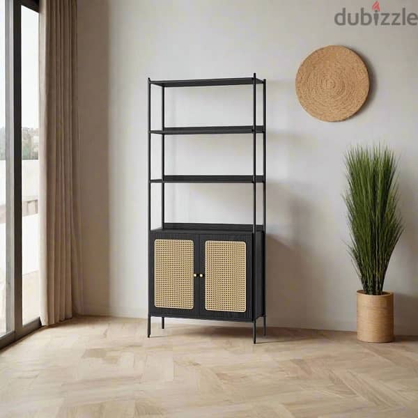 bookcase 1