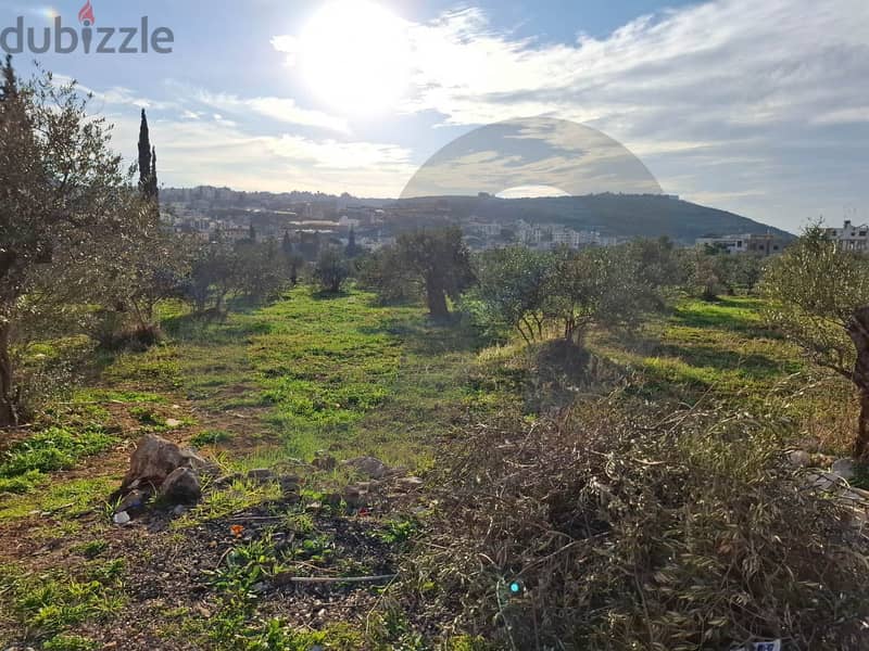 Open view- Under market price-Ras Masqa, Koura/راس مسكا REF#MN117184 1