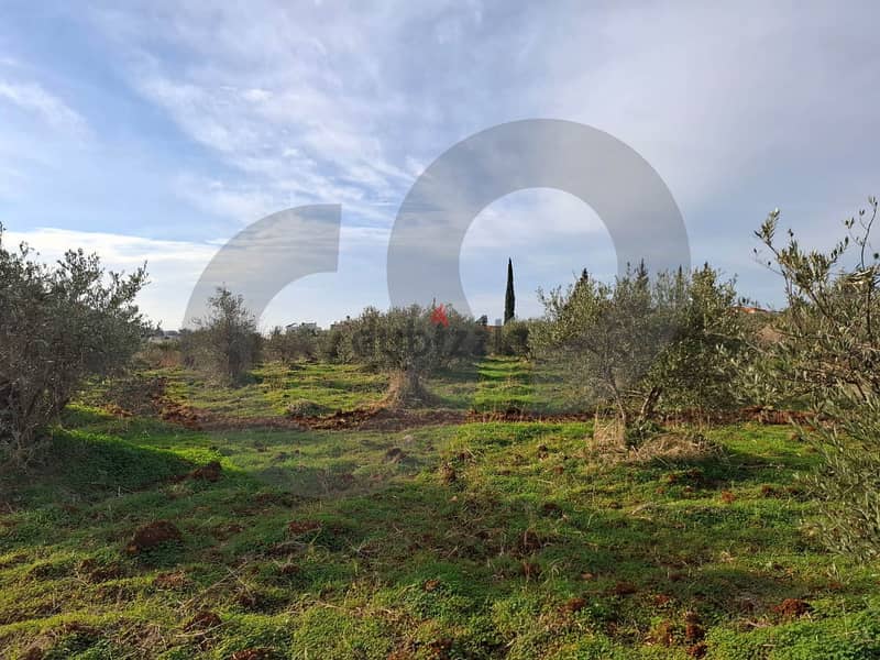 Open view- Under market price-Ras Masqa, Koura/راس مسكا REF#MN117184 2