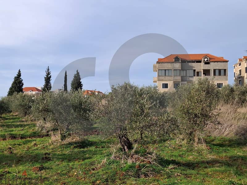 Open view- Under market price-Ras Masqa, Koura/راس مسكا REF#MN117184 3