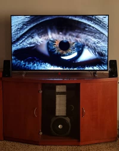 BARELY USED 55" TOSHIBA LED SMART TV