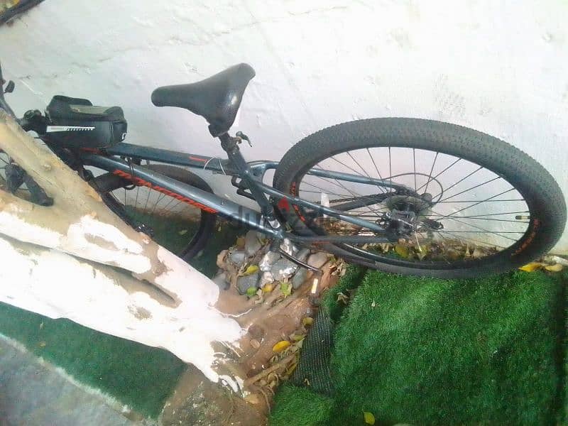 Moongoose Mountainbike 29 Inches 1