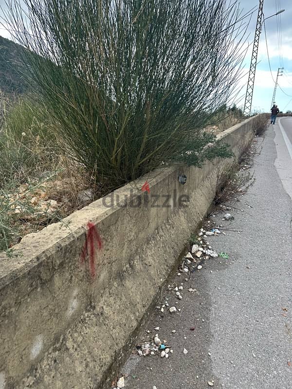 لقطة العمر ارض في حاقل على الاوتوسترادland on the highway in Hakel 7