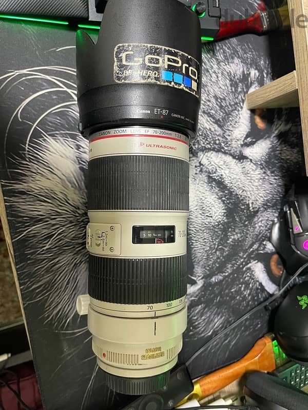 Canon ef 70/200 mm F/2.8 L IS II USM 1