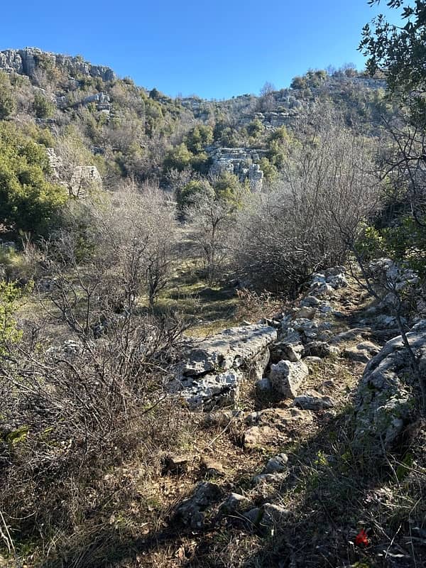 8500 mtr land in jbeil Jaj near Cedars روعة ارض جبيل جاج قرب ارز جاج 0