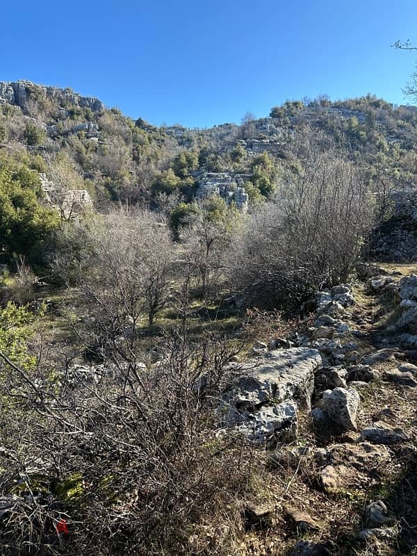 8500 mtr land in jbeil Jaj near Cedars روعة ارض جبيل جاج قرب ارز جاج 1