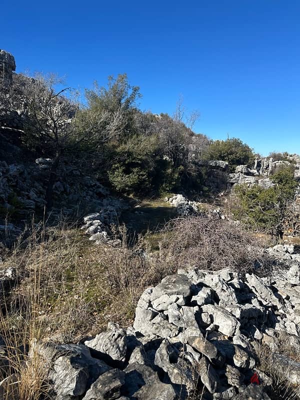 8500 mtr land in jbeil Jaj near Cedars روعة ارض جبيل جاج قرب ارز جاج 9