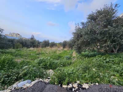 RWB379MT - Land for sale in Blat Jbeil