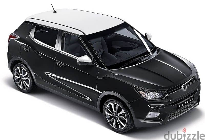 Ssang Yong Tivoli 2016 0