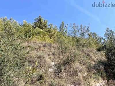 Land For Sale In Blat | Open Sea View | أرض للبيع | PLS 26240