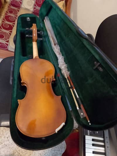 violin kapok