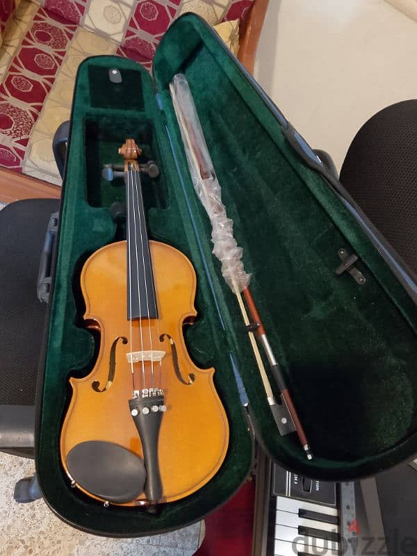 violin kapok 1