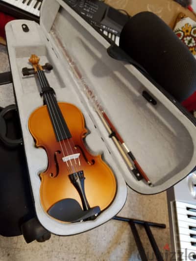 violin Franz hofman