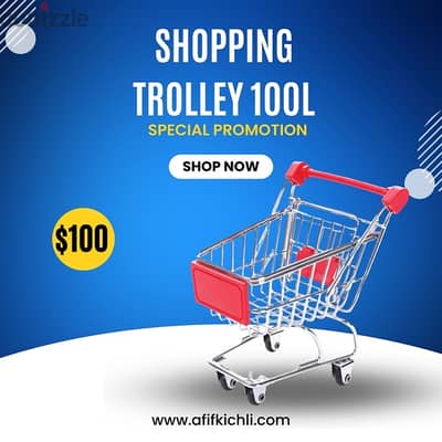 Shopping Trolley & Basket for Supermarket & Stores