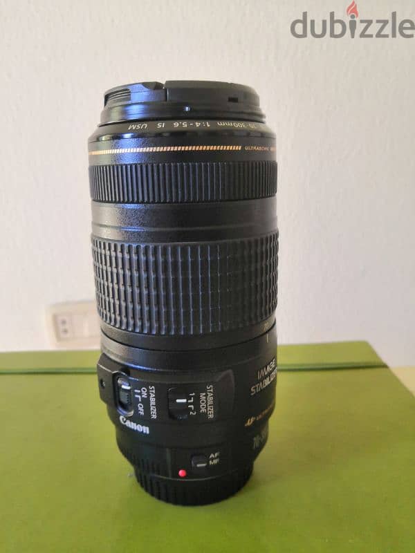 Canon Ultrasonic Telephoto lens 2