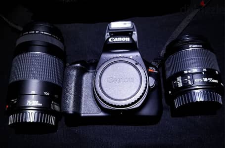 canon 4000d