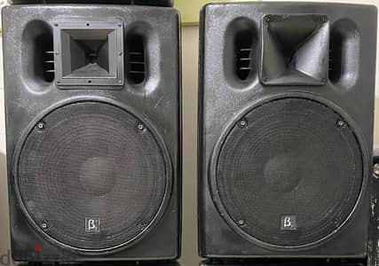 2 Elder Audio Beta3 U15 Speakers