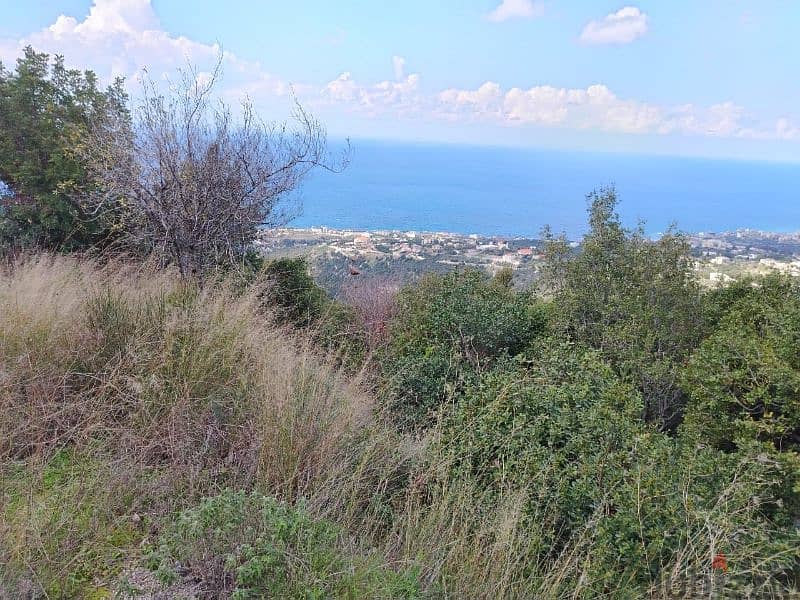 land for sale in fgal jbeil أرض للبيع في فغال جبيل 1