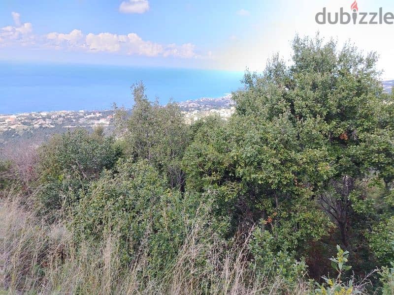 land for sale in fgal jbeil أرض للبيع في فغال جبيل 2