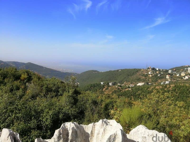 land for sale in ghineh أرض للبيع في الغينة 0