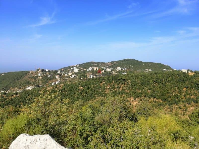 land for sale in ghineh أرض للبيع في الغينة 1