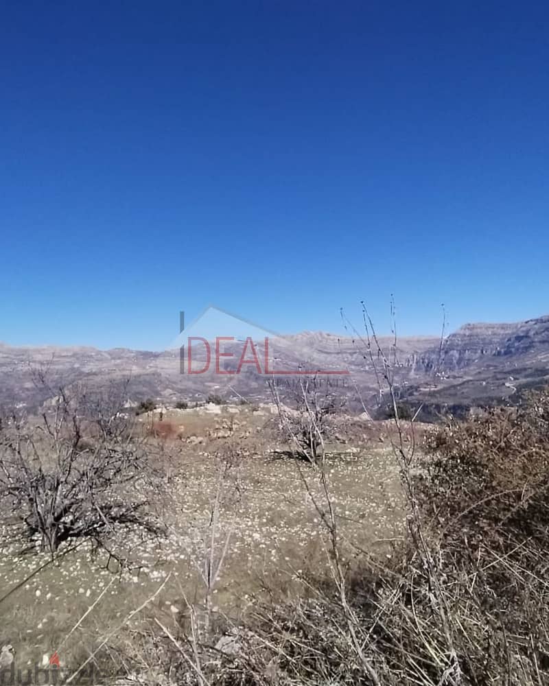 Land For sale in Ghabat Jbeil REF#BDC5003 6