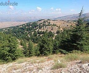 Prime Land for Sale in Chbaniyeh – 1,100 SQM with Open View