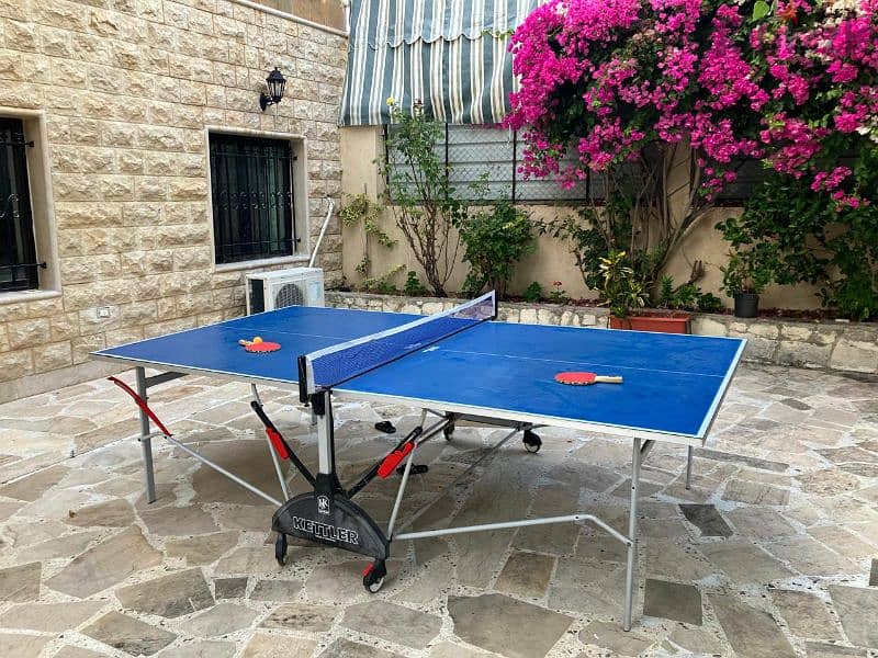 Ping Pong table with net 0