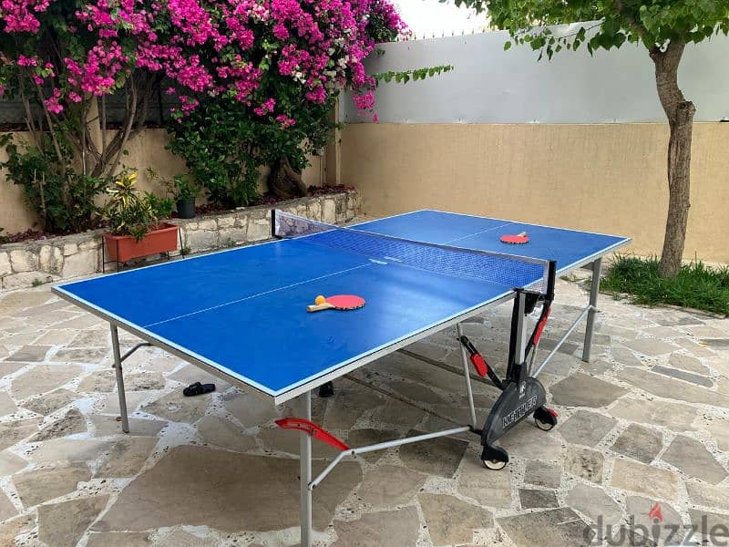 Ping Pong table with net 1