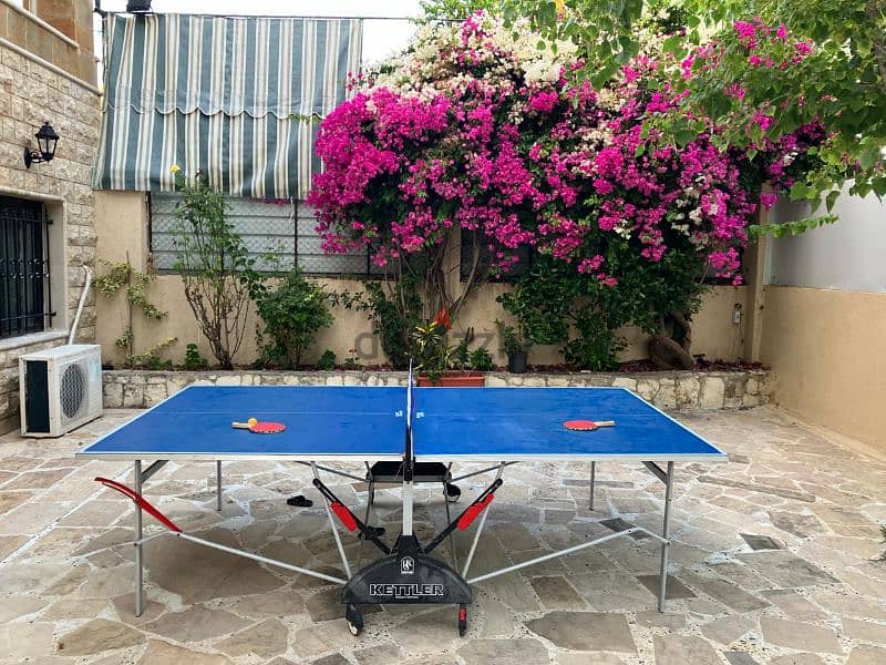 Ping Pong table with net 3