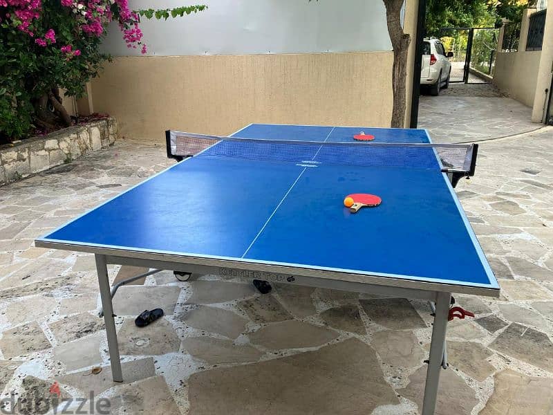 Ping Pong table with net 4