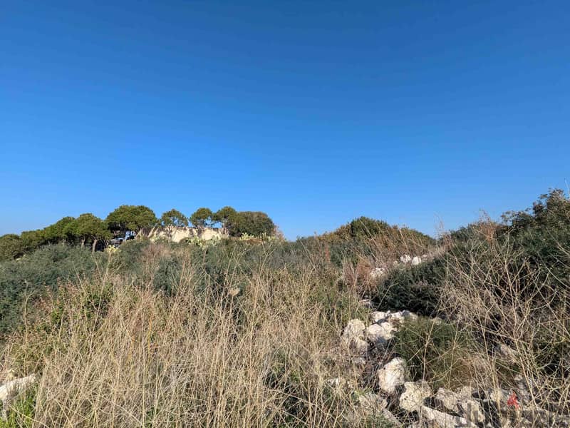 Land For Sale In Berbara | Calm Area | أرض للبيع | PLS 26244 1