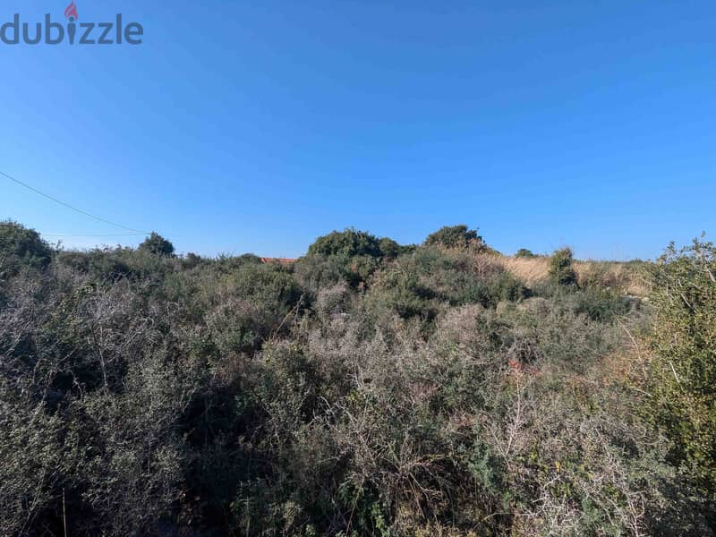 Land For Sale In Berbara | Calm Area | أرض للبيع | PLS 26244 2