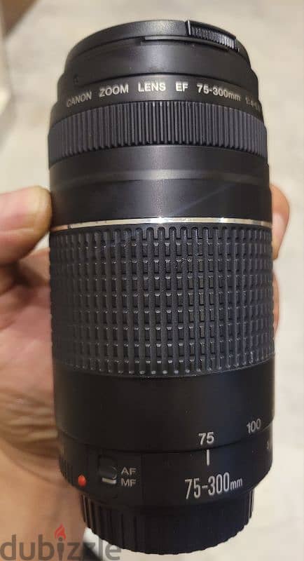 Canon EF 75-300mm f/4-5.6 USM lens 1